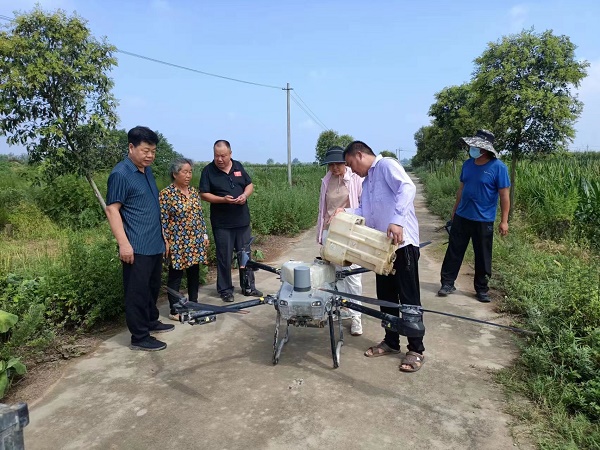 宛城区农技中心开展南方锈病暨秋作物病虫害调查
